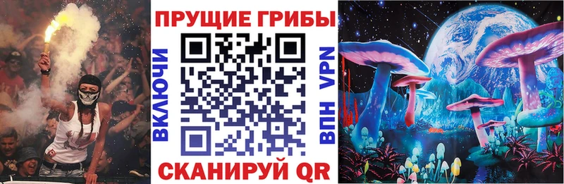 Галлюциногенные грибы прущие грибы Сурск
