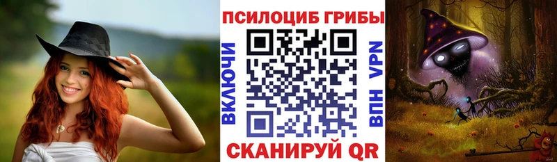Псилоцибиновые грибы ЛСД  сайты даркнета Telegram  Сурск  наркота 